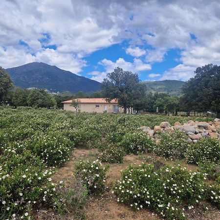 Domaine U Filanciu - Casa Chiara - Centru Di Corsica Villa Moltifao ภายนอก รูปภาพ
