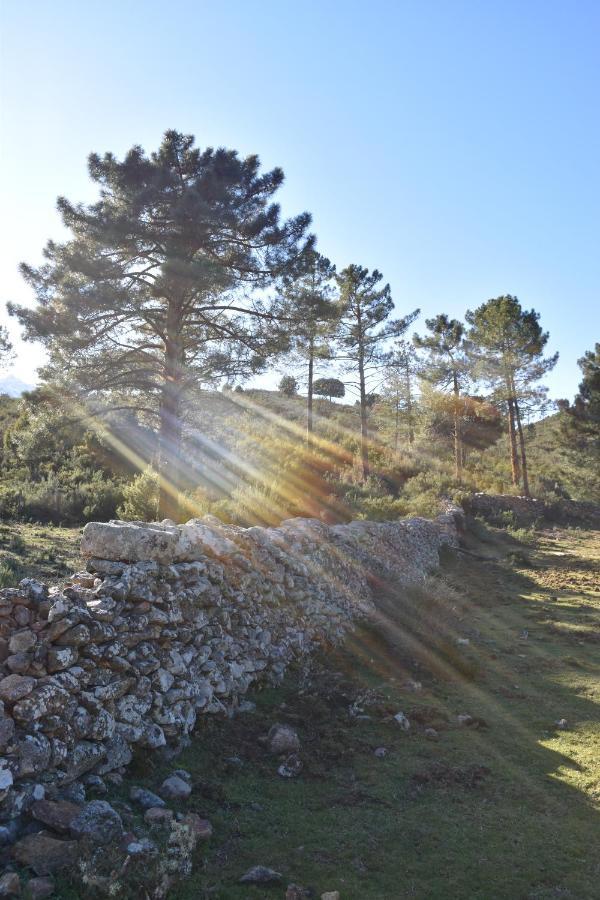 Domaine U Filanciu - Casa Chiara - Centru Di Corsica Villa Moltifao ภายนอก รูปภาพ