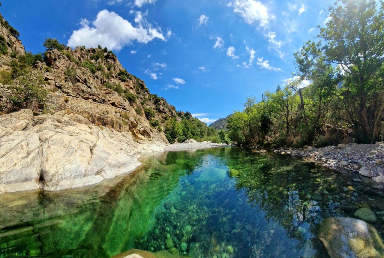 Domaine U Filanciu - Casa Chiara - Centru Di Corsica Villa Moltifao ภายนอก รูปภาพ